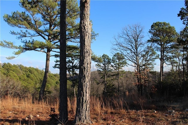 26 Park Dr, Holiday Island, AR 72631 - photo 7