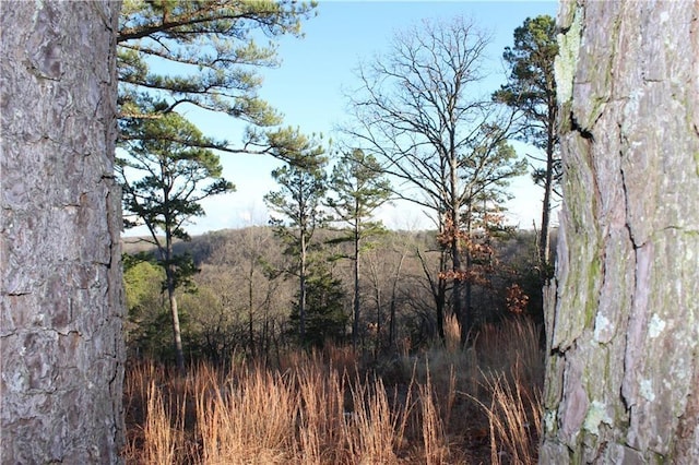 26 Park Dr, Holiday Island, AR 72631 - photo 8