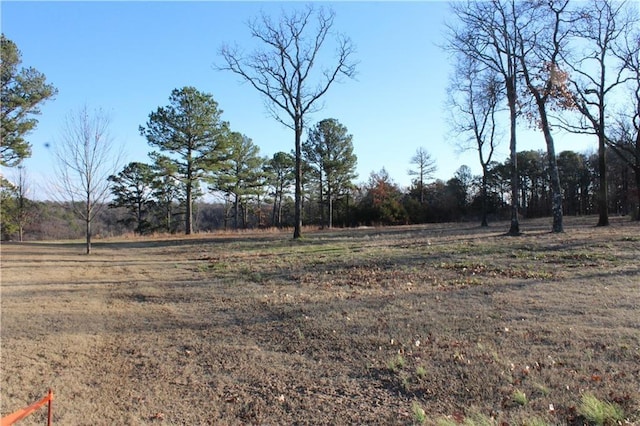 26 Park Dr, Holiday Island, AR 72631 - photo 10