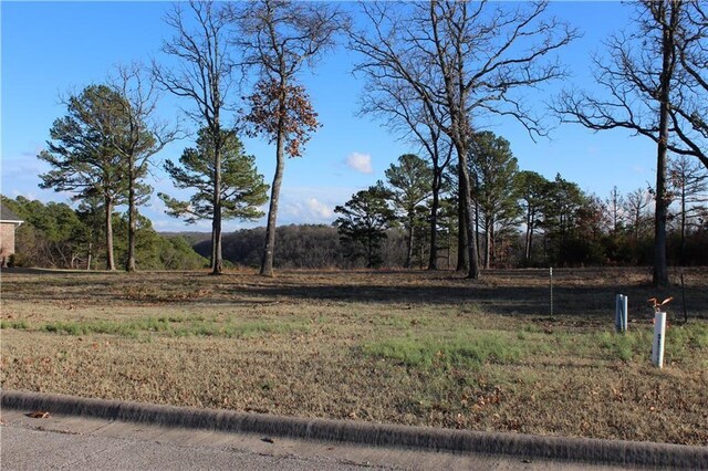 26 Park Dr, Holiday Island, AR 72631 - photo 12