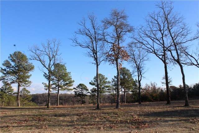 26 Park Dr, Holiday Island, AR 72631 - photo 14