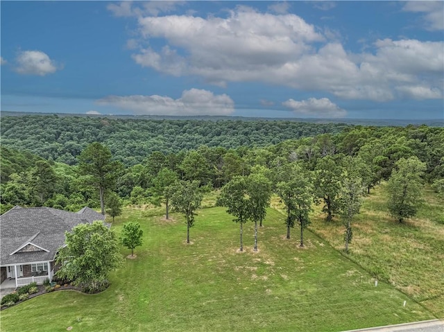 26 Park Dr, Holiday Island, AR 72631 - photo 2