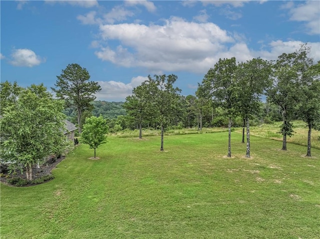 26 Park Dr, Holiday Island, AR 72631 - photo 4