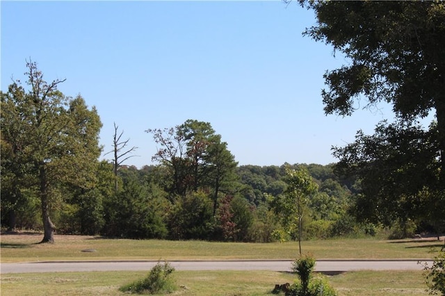 Listing photo 3 for 30 Park Dr, Holiday Island AR 72631