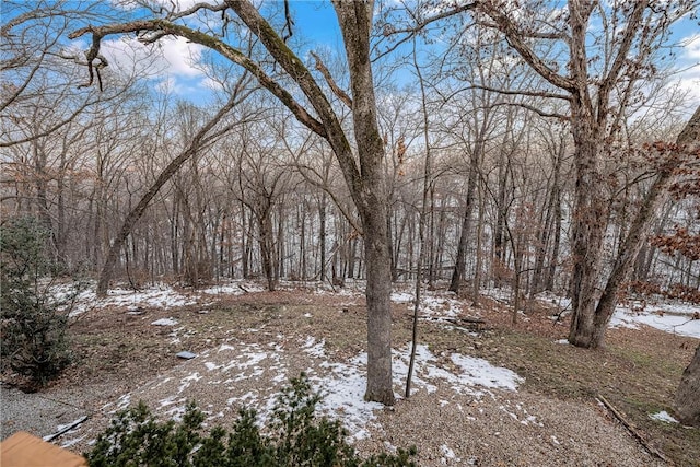 view of snow covered land