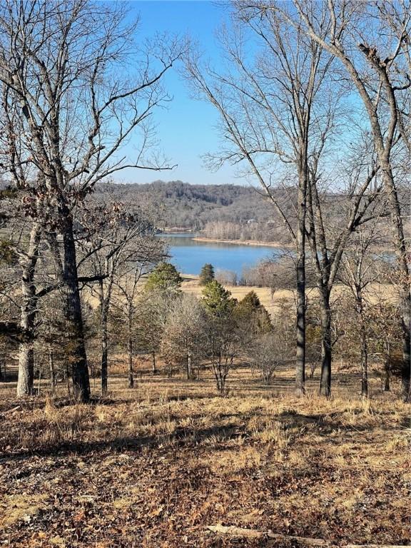 TBD Highway 311 N Road, Green Forest AR, 72638 land for sale