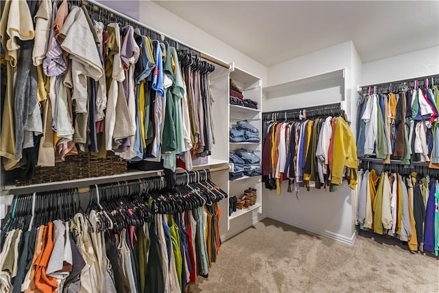 walk in closet with light colored carpet