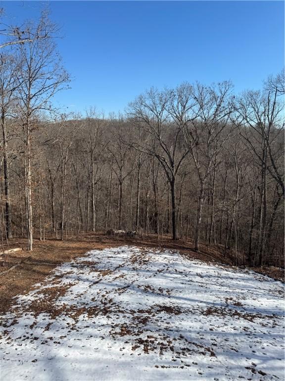 view of snow covered land