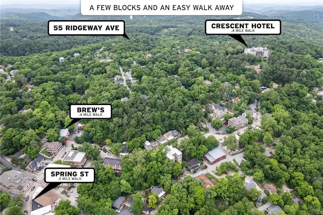 55 Ridgeway Ave, Eureka Springs, AR 72632 - bird's eye view of a heavily wooded area