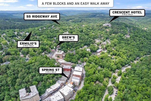 55 Ridgeway Ave, Eureka Springs, AR 72632 - bird's eye view of a forest