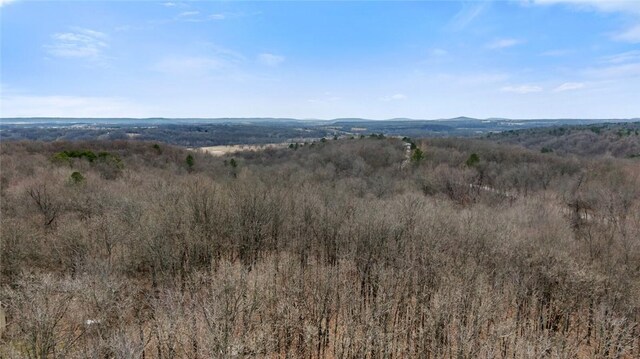 18596 Fisher Ford Rd, Siloam Springs, AR 72761 - photo 7