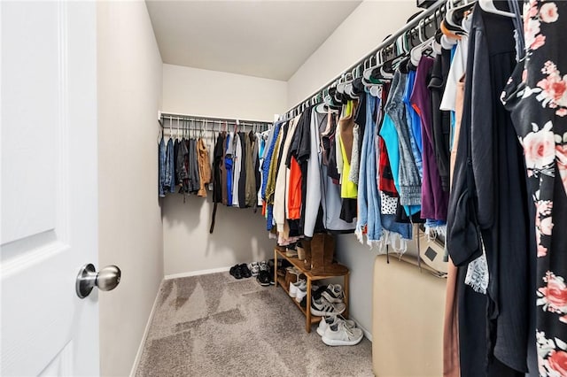 walk in closet with carpet flooring