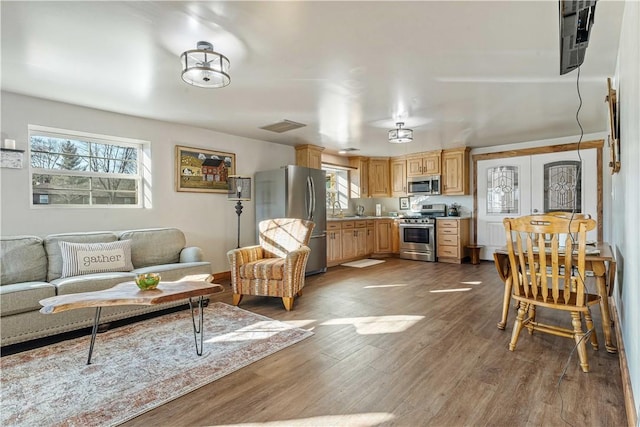 living room with french doors, dark hardwood / wood-style flooring, and a wealth of natural light