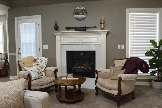 sitting room featuring carpet