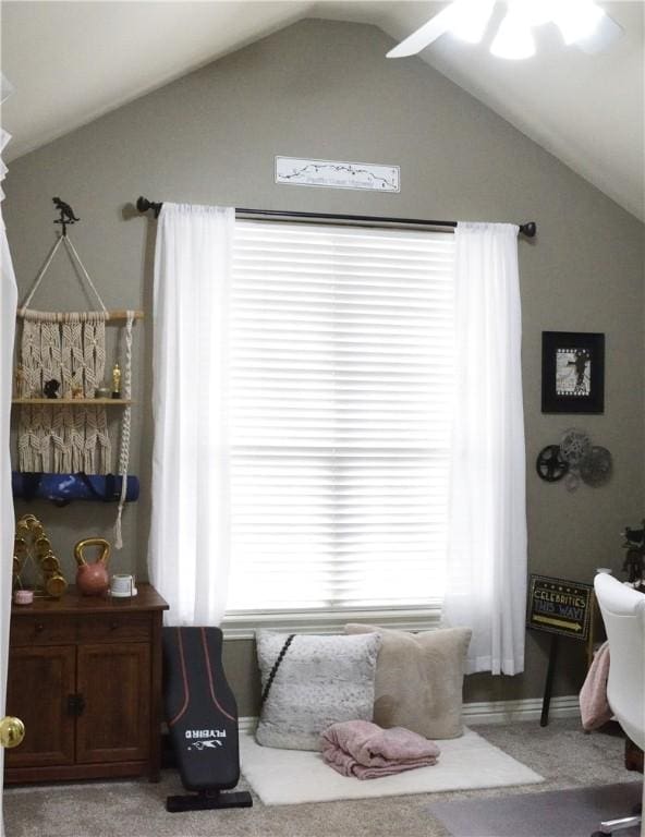 interior space featuring vaulted ceiling and carpet floors