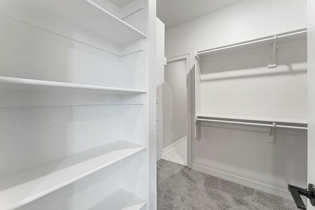 walk in closet with light carpet