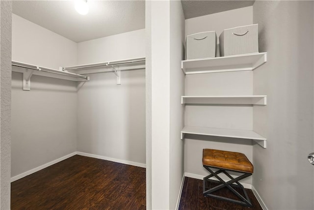 spacious closet featuring dark hardwood / wood-style floors