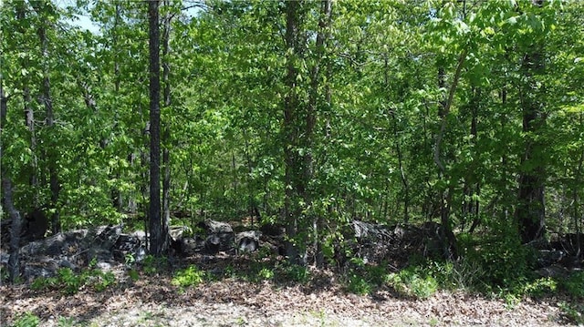 Clyde Ln, Bella Vista AR, 72715 land for sale