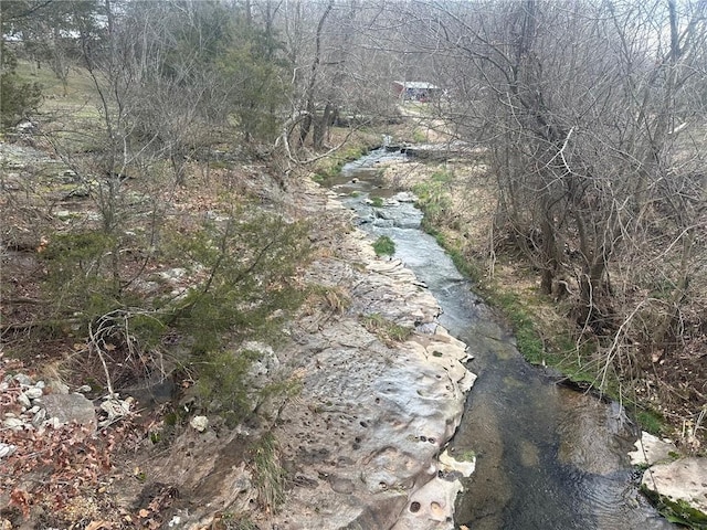 view of local wilderness