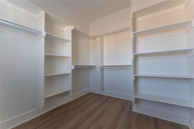 spacious closet featuring dark wood-type flooring