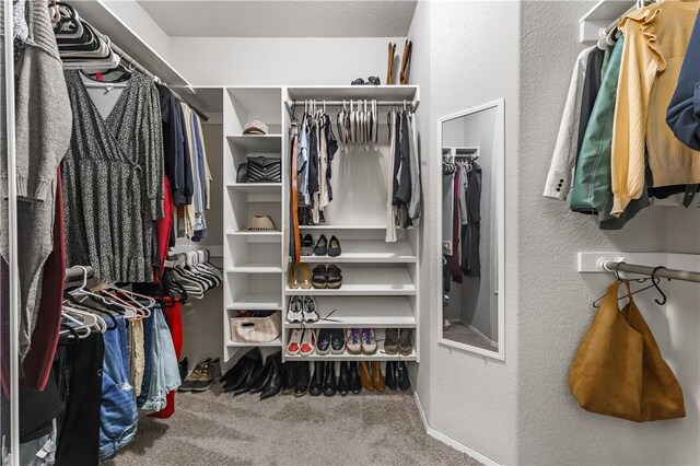 walk in closet with carpet floors