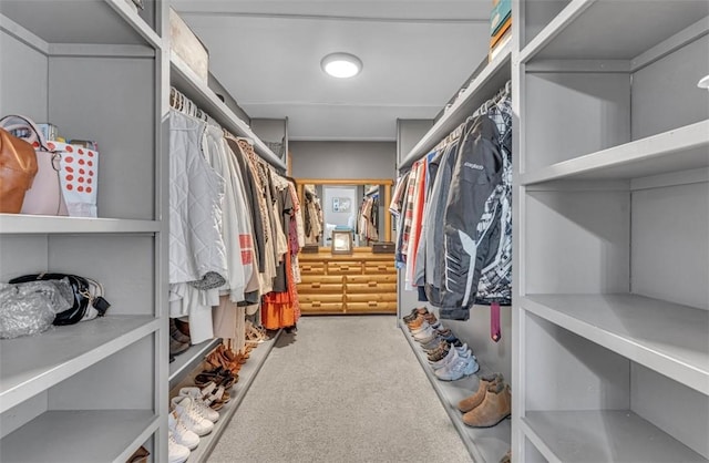 walk in closet featuring carpet floors