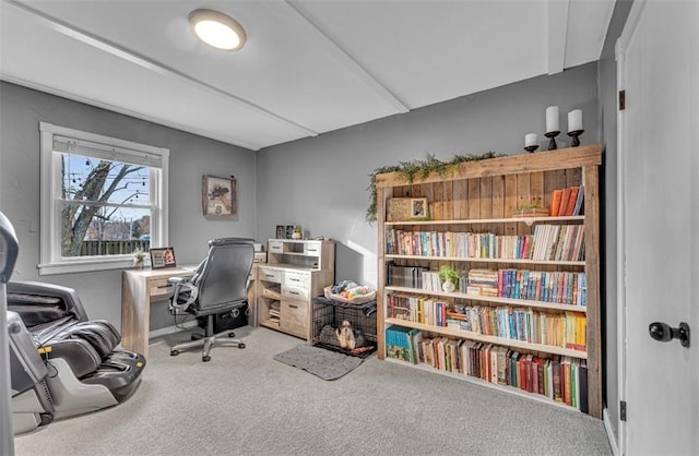 office with carpet floors