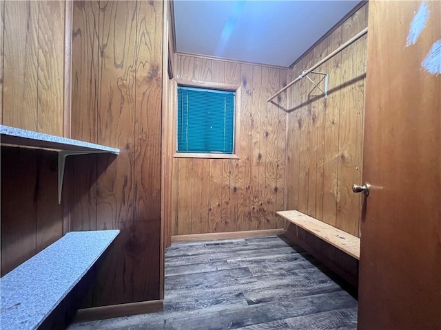 mudroom featuring dark wood-type flooring and wooden walls