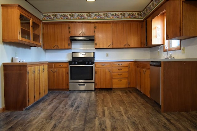 kitchen with sink, dark wood-type flooring, and appliances with stainless steel finishes