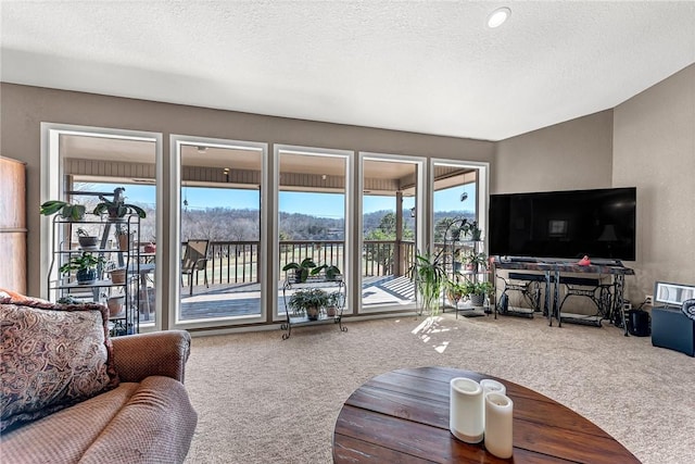 living room featuring a textured ceiling and carpet