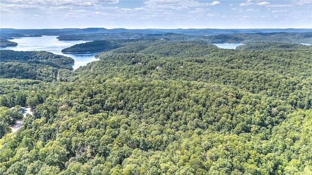 bird's eye view with a water and mountain view