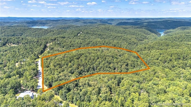 170 Meadow Ridge Rd, Eureka Springs, AR 72632 - aerial view of property's location featuring a heavily wooded area and property boundaries highlighted