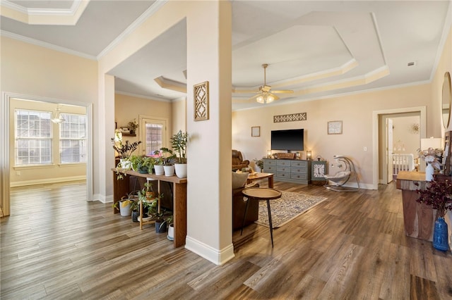 living room featuring ceiling fan, a tray ceiling, dark hardwood / wood-style floors, and crown molding