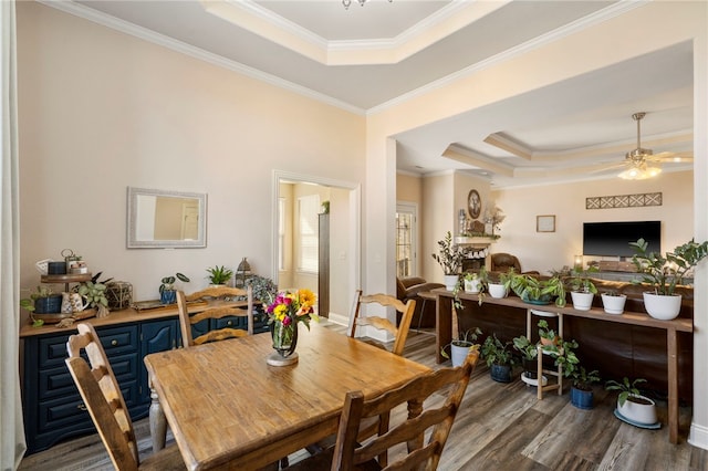 dining room with ceiling fan, a raised ceiling, crown molding, and dark wood-type flooring