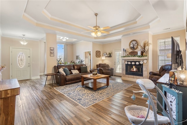 living room featuring plenty of natural light, wood-type flooring, and a raised ceiling