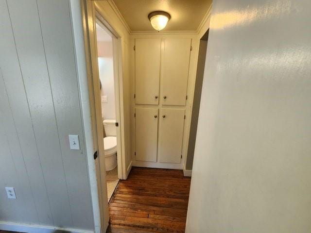 corridor with crown molding and dark hardwood / wood-style flooring