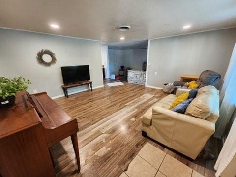 living room featuring wood-type flooring