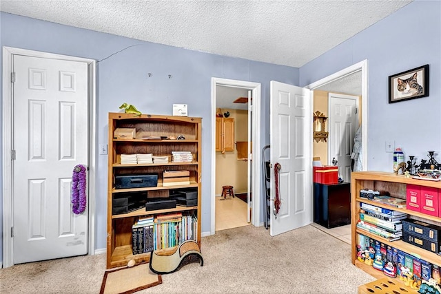 interior space with light colored carpet and a textured ceiling