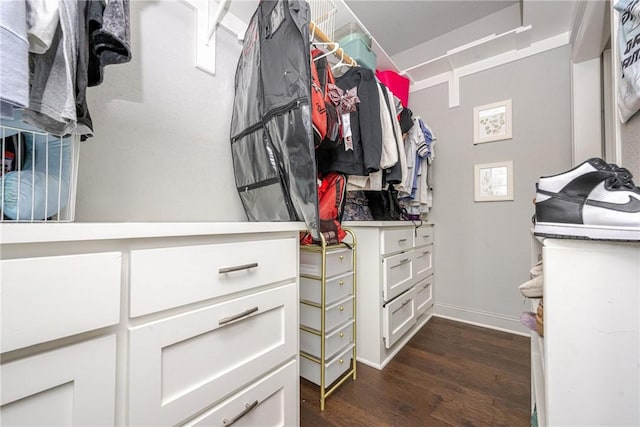 walk in closet with dark wood-type flooring