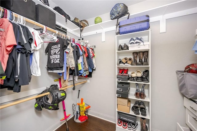 walk in closet featuring dark hardwood / wood-style floors