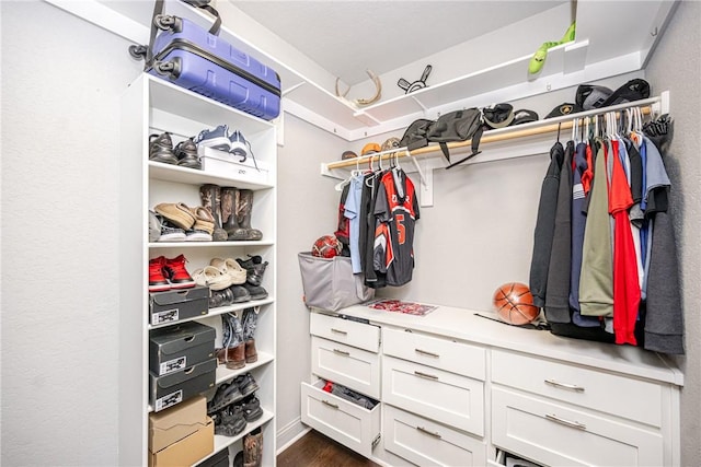 spacious closet featuring dark hardwood / wood-style flooring