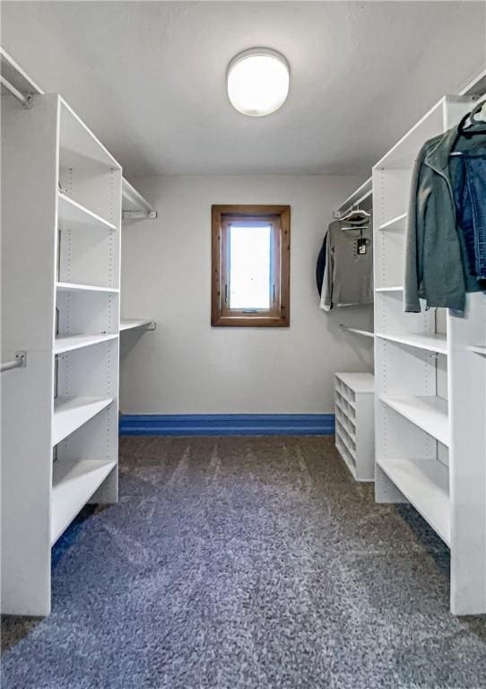 walk in closet featuring dark carpet