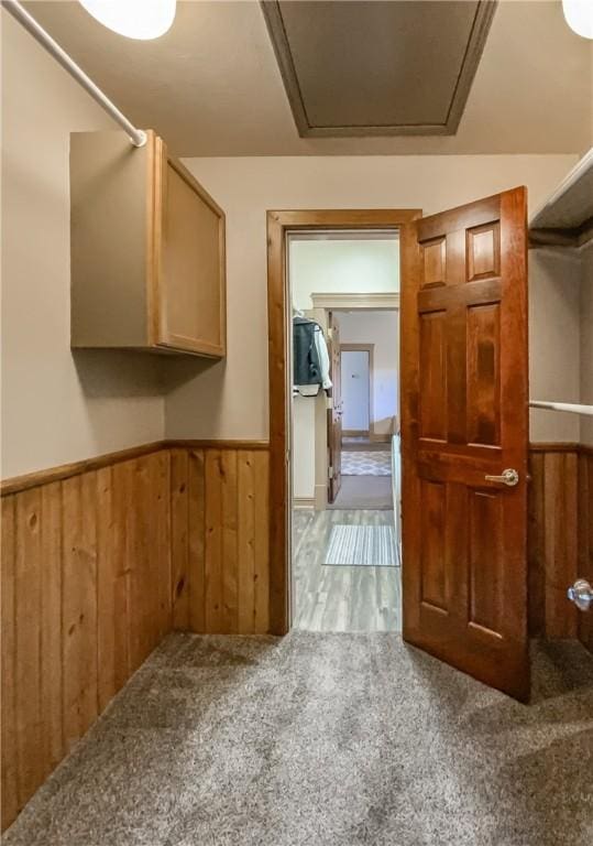 hall featuring carpet floors and wooden walls