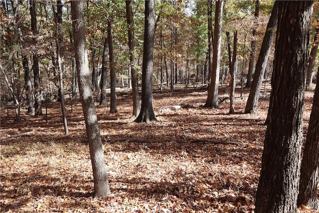 L457-460 Sweet Pea Dr, Rogers, AR 72756 - photo 3