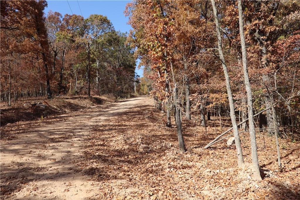 L457-460 Sweet Pea Dr, Rogers, AR 72756 - photo 4
