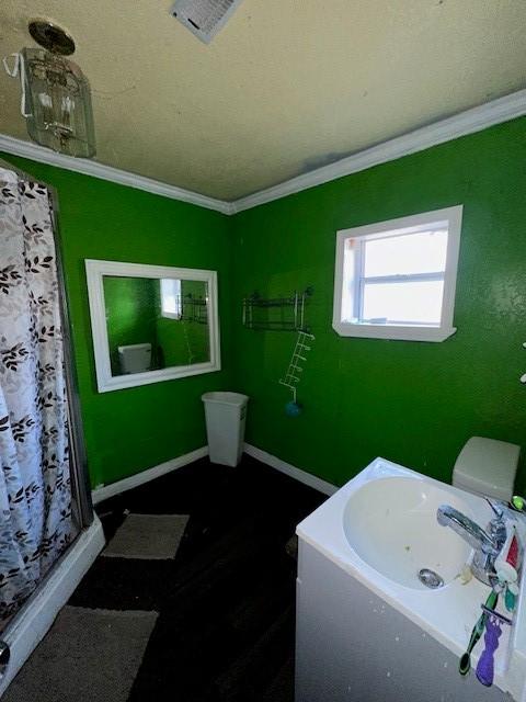 bathroom featuring sink, crown molding, toilet, and a shower with shower curtain