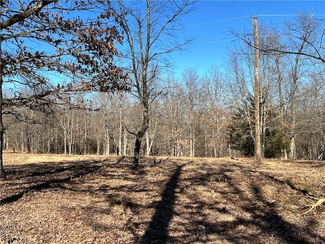 1 Madison Unit 8739, Huntsville AR, 72740 land for sale