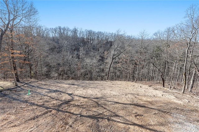 view of nature featuring a view of trees