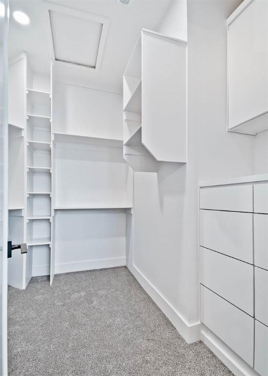 spacious closet featuring light carpet