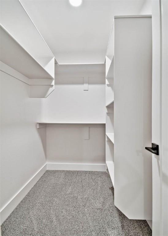 walk in closet featuring carpet